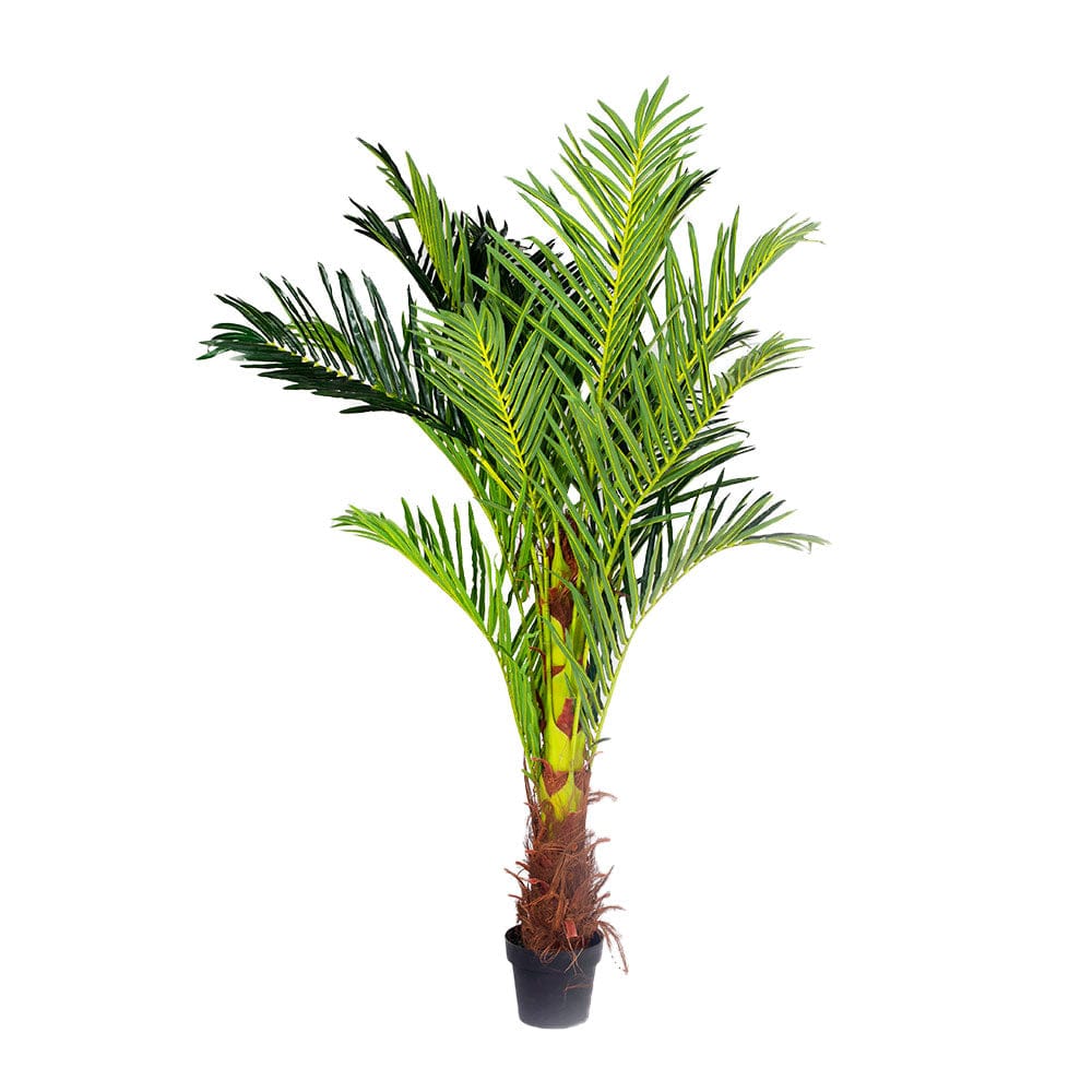 180cm Phoenix Palm Artificial Plant (Pot Included)