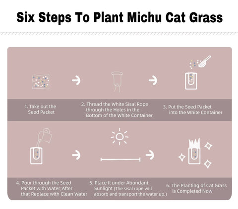 MICHU Soil-Free Cat Grass Kit With Extra Seed Pack