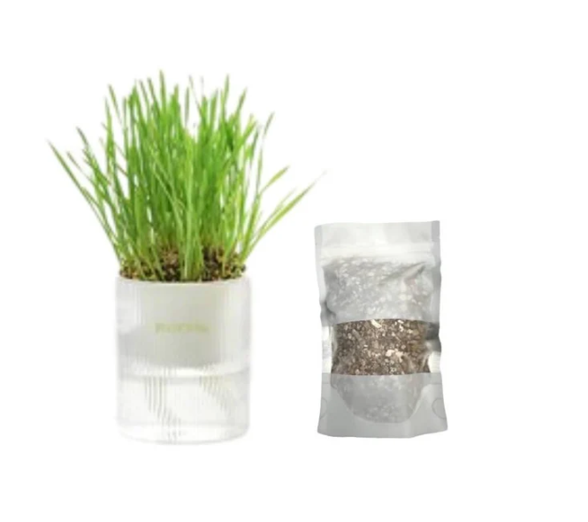 MICHU Soil-Free Cat Grass Kit With Extra Seed Pack